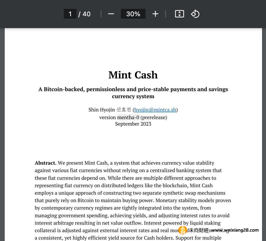 拆解 Mint Cash 白皮書：刻意營造學術感的詞藻表演，白皮書負面案例插图2