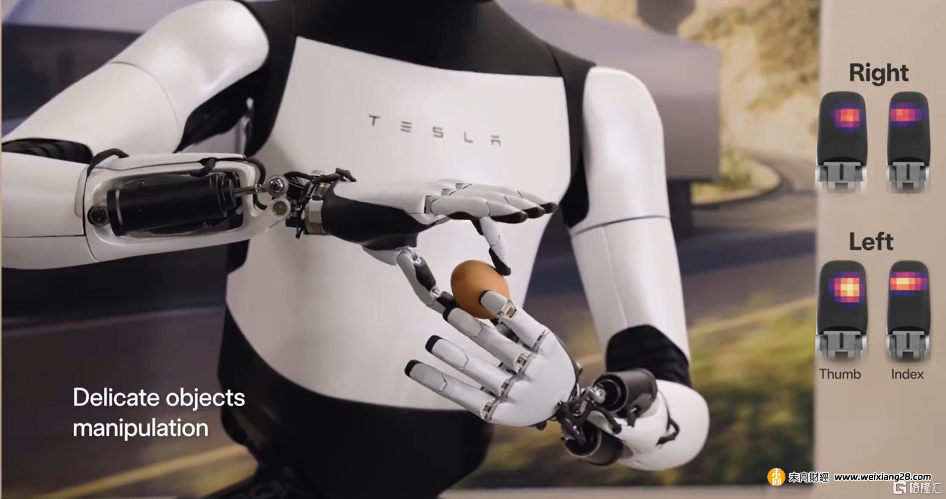 特斯拉人形機器人Optimus第2代來了！減重20斤，玩深蹲、能“蹦迪”，更像真人！插图6
