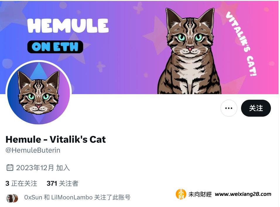 Vitalik的貓，Toly的龍，當這屆 Meme 盯上了創始人們的寵物…插图4