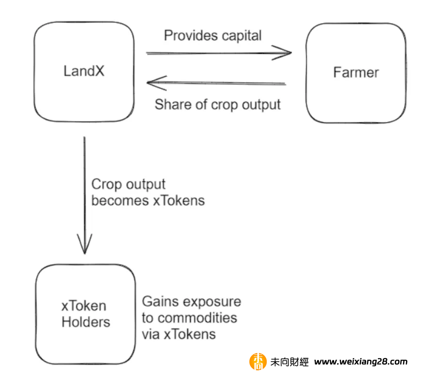 用 RWA 鏈接農業和投資者：一文了解 LandX 產品和經濟模型插图