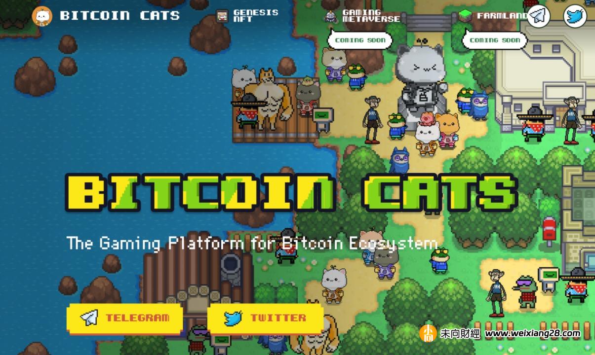 Bitcoin Cats IDO 超募1 億美元後，還有哪些值得關注的比特幣鏈遊項目？插图