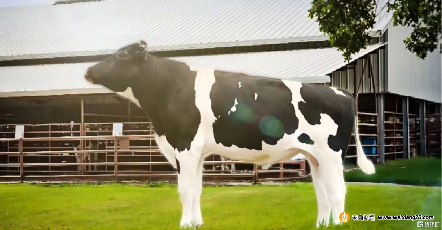 科技賦能打造乳牛養殖最佳ESG實踐 ，優然牧業(9858.HK)榮獲“年度ESG先鋒獎”插图2